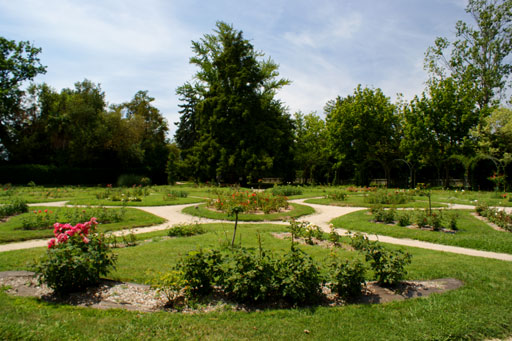 La roseraie