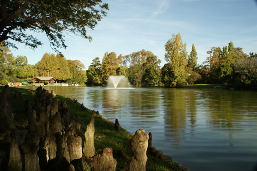 L'étang du centre du parc borely